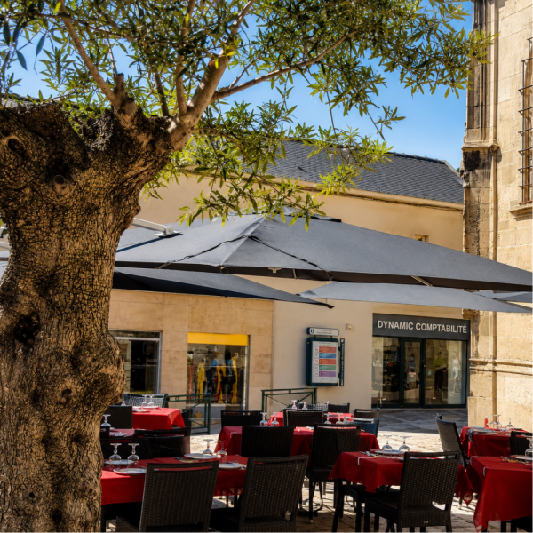 Taj Mahal - Restaurant Pontoise - Resto Pontoise - Restau Pontoise - Restaurant à Pontoise - Restaurant Halal Pontoise - restaurant a faire PONTOISE
